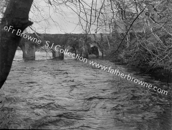 RIVER LIFFEY IN SPATE NEAR CELBRIDGE